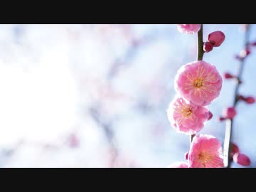 [TRANCE] Mixed by aki 2023/02/25