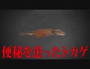 ウンコトカゲ