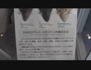 別名. ムカシオオホホジロザメ,   カルカロドン・メガロドン