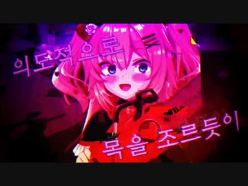 KILLER HAACHAMA