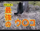 【ご視聴注意】★地球最後の日　～Last day on earth.～
