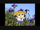 【MMD】エイサイハラマスコイ