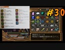 ダーククロニクルを懐かしみながらプレイ#30