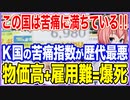この国は苦痛に満ちている！！K国の経済苦痛指数が歴代最悪を記録！物価高に雇用不安が痛恨の追討ち【2023/02/25】