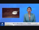 精子と卵子がNFTになった場合