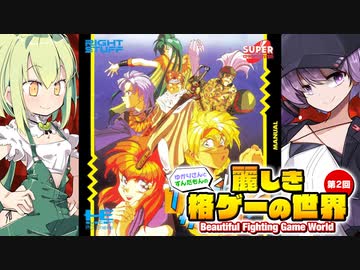 麗しき格ゲーの世界 第2回【フラッシュハイダース】