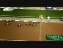 2023 The Saudi Cup Panthalassa