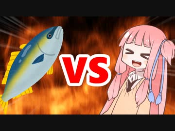 茜ちゃんVSブリ