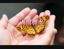 【バス停の暇つぶし】人間標本