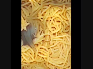 あなたには何が見えますか？？10