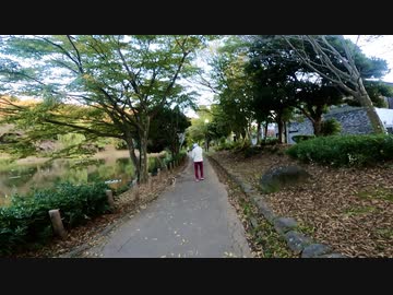 千葉県市川市国府台-中国分を歩く【今度こそ市川市編 part 8-2】【散歩215】
