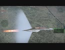 Mig-29フルクラム (ドイツ)