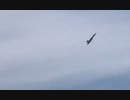 May 2019 F/A-18F Super hornet  Iwakuni Friendship Day 2019 Yamaguchi Japan   日本　山口　スーパーホーネット　岩国　友好祭