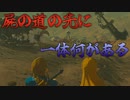全盛期のリンクさんパネェー　Part 20【ゼルダの伝説ブレスオブザワイルド】