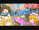 【ゆっくり実況】ゆっくり八雲家のマリオカート8DX　Part11:Re(前)