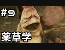 【実況】ホグワーツ・レガシーをやってみる。 9日目