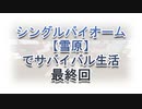 ＃35 最終回～ここまで来るのに2年かかりました～【Minecraft】シングルバイオーム❅雪原❅でサバイバル生活