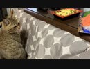 眠気VS食気