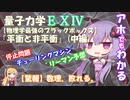 【ほとばしる解説】第14回：UNKOが攻めてきたぞっ（量子力学・最新研究報告、平衡・非平衡に関わる量子力学：停止問題決定不能性、平衡化問題決定不能性、リーマン予想)