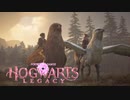 トリさんに乗って空を飛ぶ神ゲー【Hogwarts Legacy】【ホグワーツ・レガシー】【実況】＃24