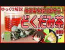 【ゆっくり解説】どくだみ茶の栄養について解説！