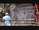 カンボジアで鳥インフル感染の少女が死亡、哺乳類への感染拡大に懸念