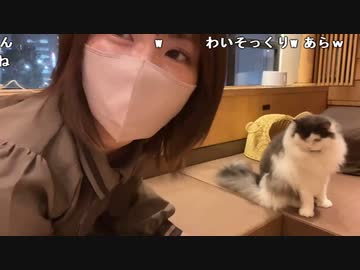 あかねこさん専用 AMNIBUS-日常使いできるアニメグッズの通販サイト-