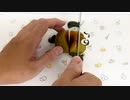 キウイⅦ