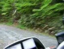NX125で林道アタック