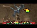 【初見】強ポジ見つけた。【ダークソウルリマスタード】part8