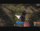 【あかねこ】RUST練習枠　　#ニコ生RUST。2023年2月11日