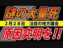 【注目】明日、２つの議会で「謎の大量死」が取り上げられます。