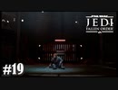 【STAR WARS JEDI : fallen order】どこここ？【実況】#19