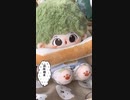 男の子 20CM 着せ替えぬいぐるみ