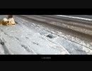 碧海、初音ミク / 二月の花片