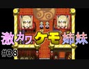【風来のシレン5Plus】#38 そういえばそんな話あったっけ【風来のシレン初プレイ】