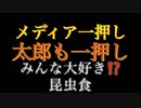 みんな大好き！？昆虫食