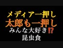 みんな大好き！？昆虫食