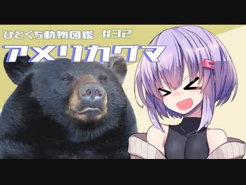 ひとくち動物図鑑　#3２　アメリカグマ　[VOICEROID解説]