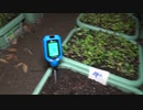 ph 測定器で土を調べてみる！2022年10月31日