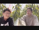 昆虫食を食べたくない人は見てください