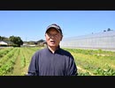 コオロギは絶対に食べたくありません！　2023_02　（6；30ぐらいから）