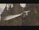 #19【ホグワーツレガシー】動物学