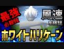 【イナズマイレブン】白竜のホワイトハリケーンの風速・威力を検証【物理エンジン】