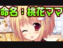 【魔法使い向け】#82　妹の何気ない一言に吹き出すお兄ちゃん【妹ぱらだいす！2】