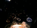 シロクラゲ