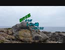 【ボイロ車載】岩手県道41号part2