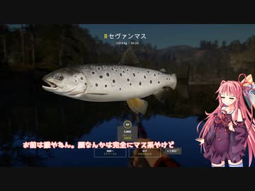 茜お姉ちゃんが川釣りのバイトをする話　2023：2月号