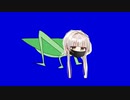 長谷川あクビキリギス