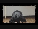 【ぼっちで】なにやってもうまくいかない 踊ってみた【初投稿】
